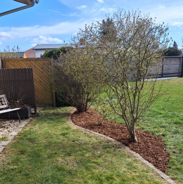 Gartenbereich nach der Pflege