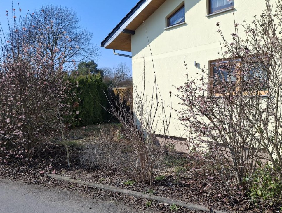 Außenanlage vor der Pflege 1